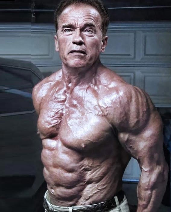 Arnold Schwarzenegger Height Weight Body Statistics Healthy Celeb