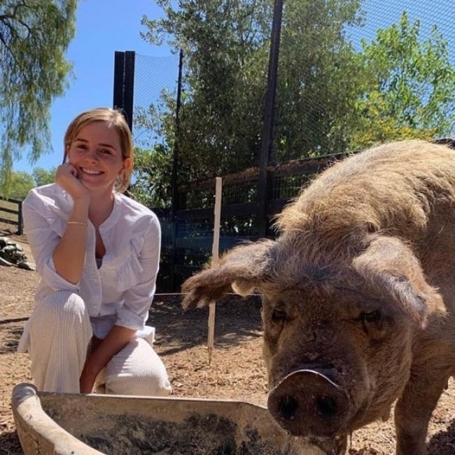 Emma Watson at Apricot Lane Farms in November 2021