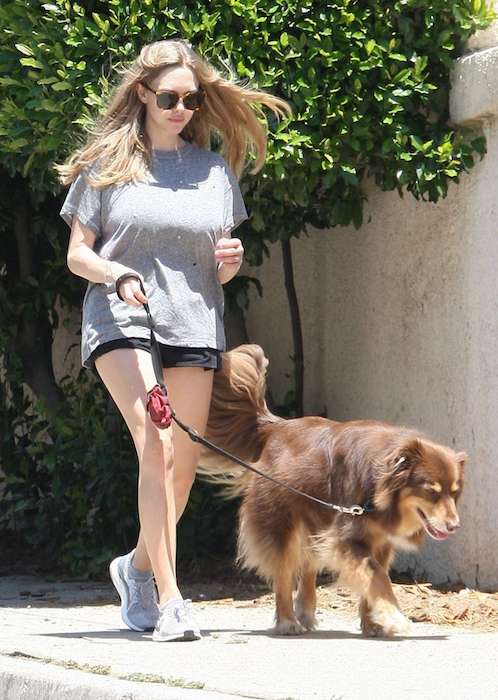 Amanda Seyfried in shorts strolling her dog in May 2017