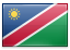 Namibian
