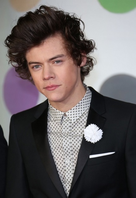 Harry Styles Height Weight Age Girlfriend Family Facts