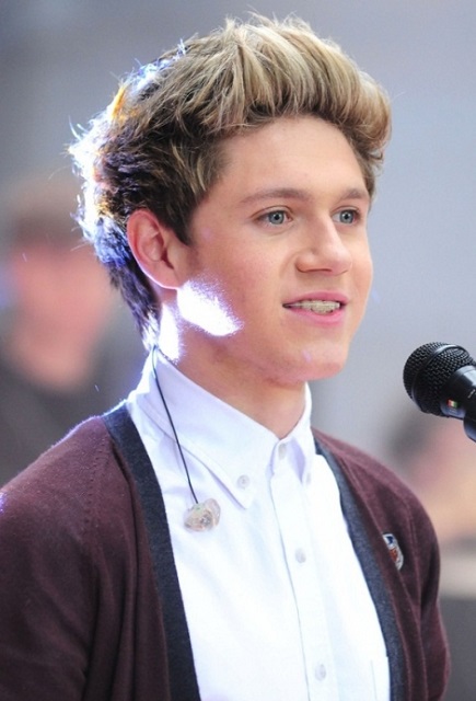 Niall Horan hair quiff