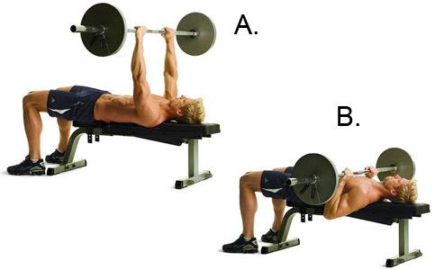 Bench Press exercise.