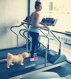 Lyndsy Fonseca running on the treadmill in the gym