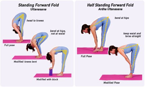 Forward Bends