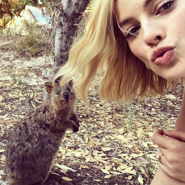 Margot Robbie in a selfie with Quokka in March 2018