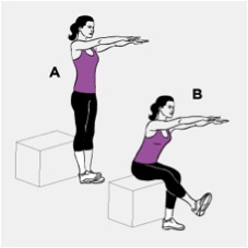 box squat without a box