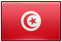 Tunisian