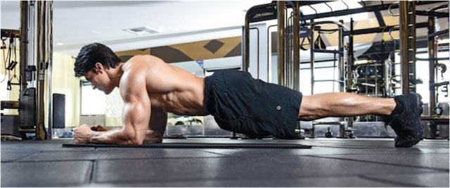 PLANKS – Plank Your Way to a High Performance Driven Shredded Core!