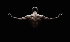 Bodybuilding