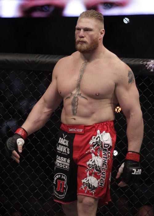 Brock Lesnar as MMA Fighter