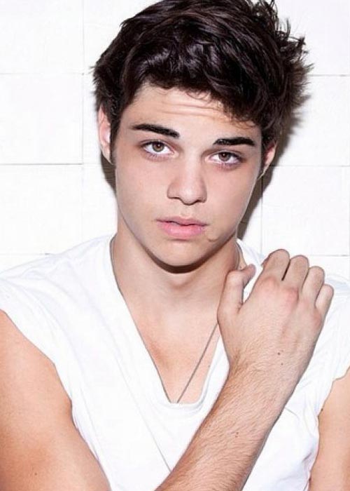 Noah Centineo Hot 