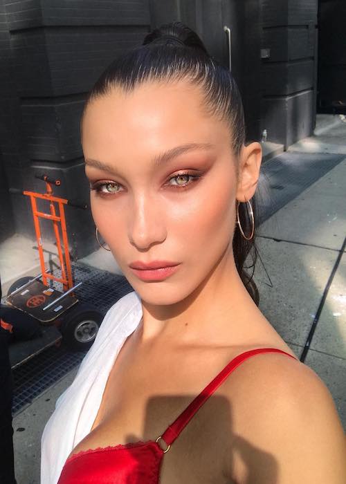 Bella Hadid in an Instagram selfie in September 2017