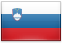 Slovenian nationality