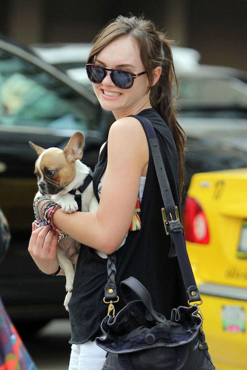 Madeline Carroll holding a fan's French bulldog in Vancouver, Canada on June 7, 2012