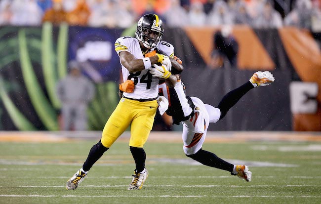 Antonio Brown against Cincinnati Bengals January 9, 2016 Ohio