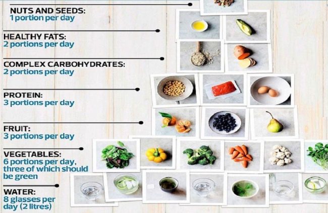 Amelia Freer's food pyramidAmelia Freer's food pyramid