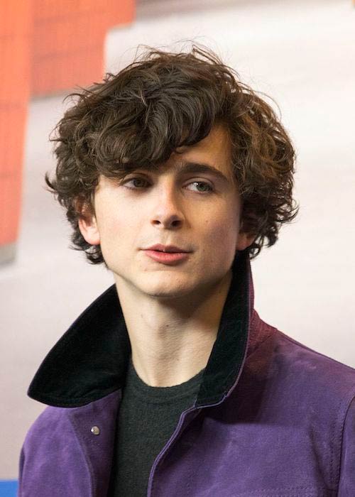 Timothée Chalamet at the 2017 Berlin International Film Festival