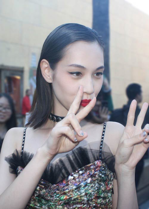 Kiko-Mizuhara-during-the-world-premiere-of-Attack-On-Titan-in-Hollywood-in-2015.jpg