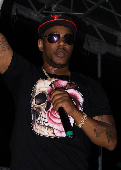 Rapper Cam'ron at Broccoli City DC Festival as seen in April 2014