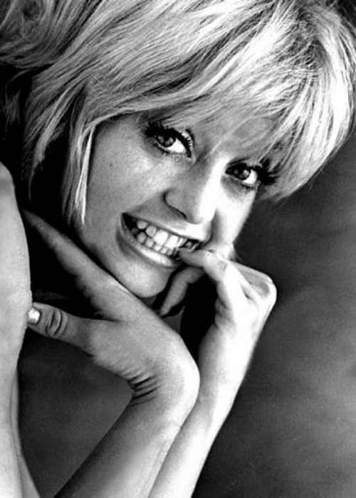 Goldie Hawn's publicity photo for the 1969 film Cactus Flower