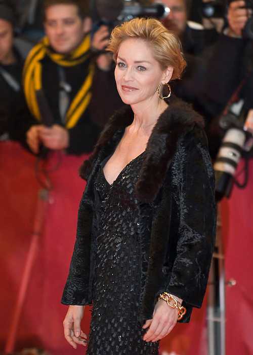 Sharon Stone at the When a Man Falls in the Forest premiere in 2007
