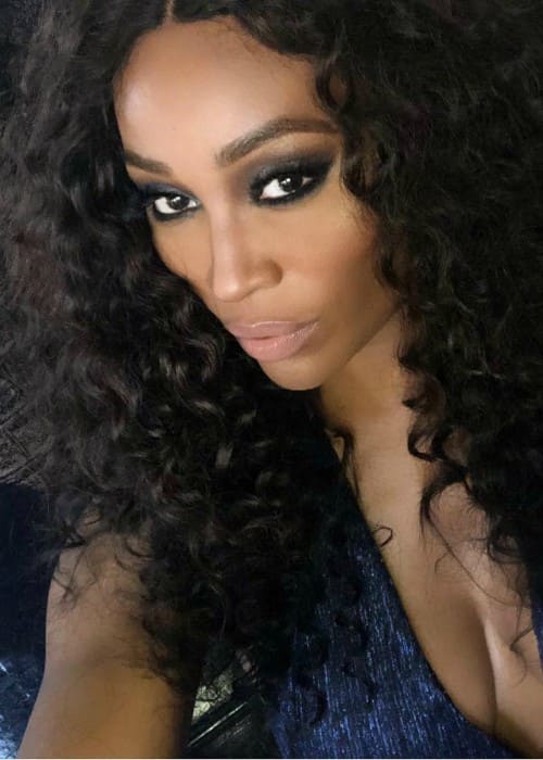 Cynthia Bailey in an Instagram selfie as seen in February 2018