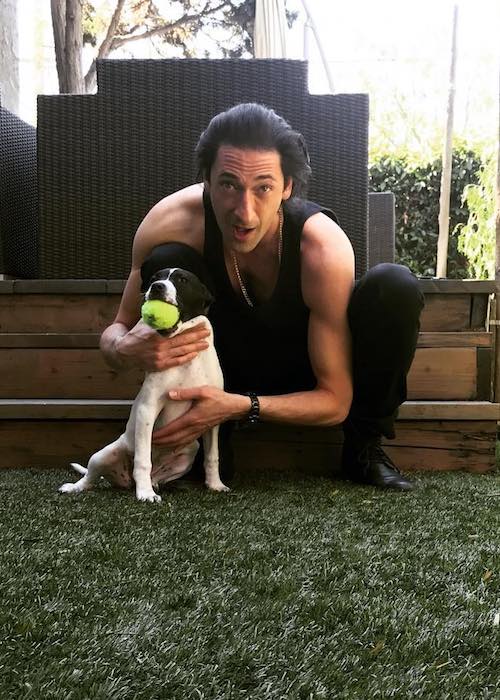 Adrien Brody with his female dog as seen in March 2017