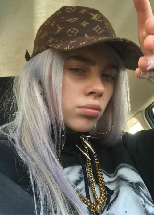 Billie Eilish in a selfie in November 2017