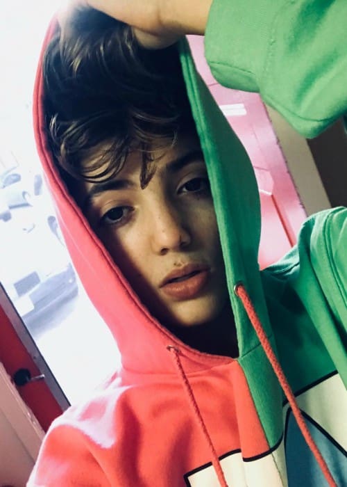 Aaron Melloul Height, Weight, Age, Body Statistics ... - 500 x 700 jpeg 40kB