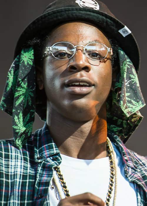 Joey Badass at The Come Up Show's 2013 Under the Influence Tour