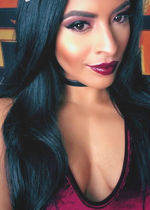 Zelina Vega in an Instagram selfie as seen in December 2017