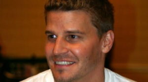 David Boreanaz