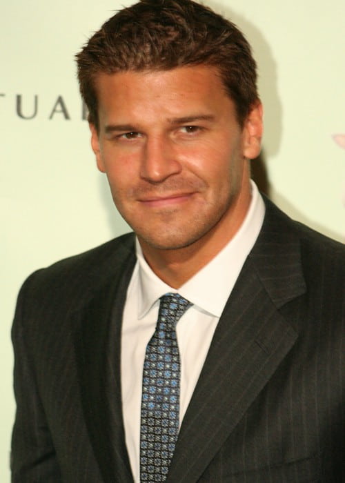 David Boreanaz as seen in January 2007