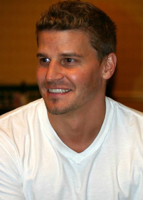 David Boreanaz at the Flashback Weekend in Chicago in May 2004