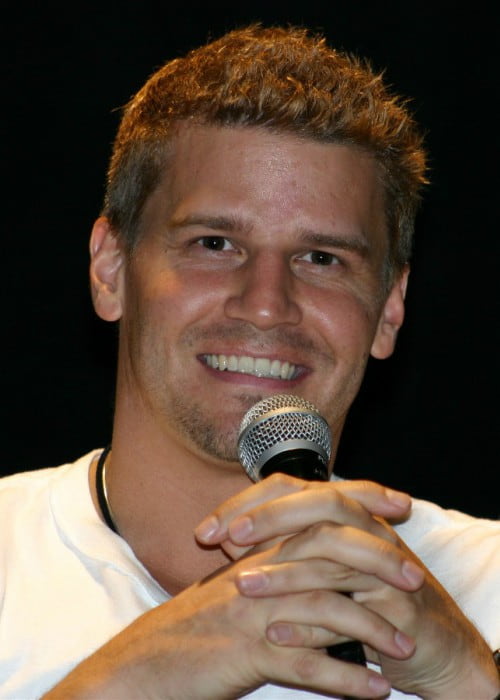 David Boreanaz at the Flashback Weekend in May 2004