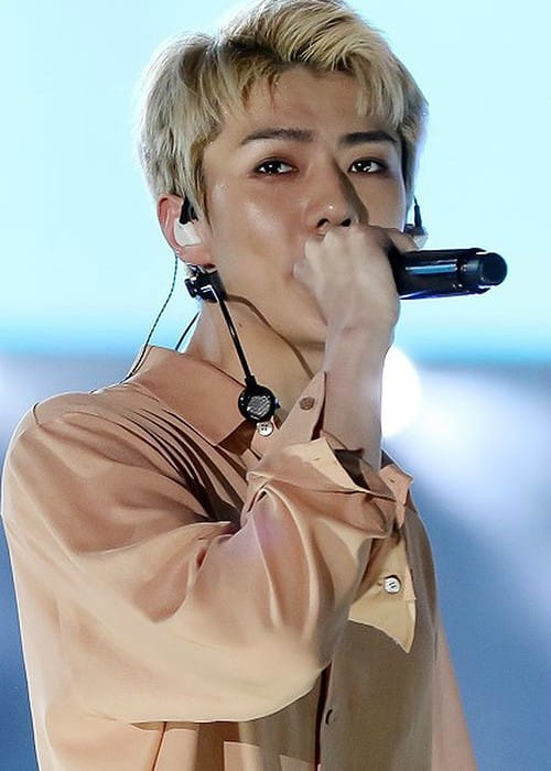 Oh Se-hun at Lotte Family Festival in October 2016