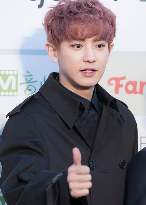 Park Chanyeol at Gaon Chart K-pop Awards red carpet in February 2016