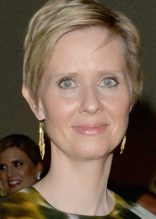 Cynthia Nixon during a party at Washington Hilton in May 2014