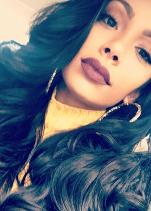 Erica Mena in an Instagram selfie as seen in November 2016