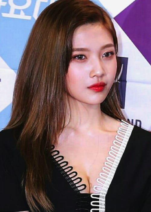 Joy at the Coex D Hall in December 2016