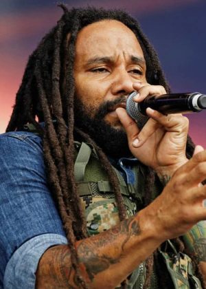 marley mani charrues vieilles