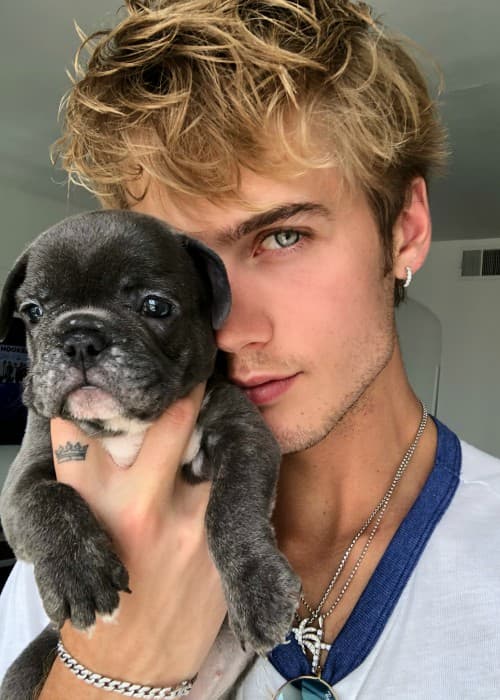 Neels Visser in an Instagram post as seen in June 2018