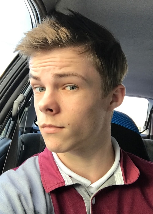 Nicholas Hamilton Height Weight Age Body Statistics