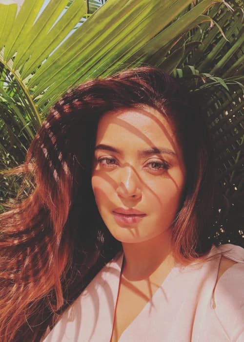 Surveen Chawla in a selfie in February 2018