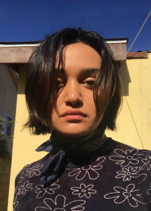 Ariela Barer in a selfie in December 2017