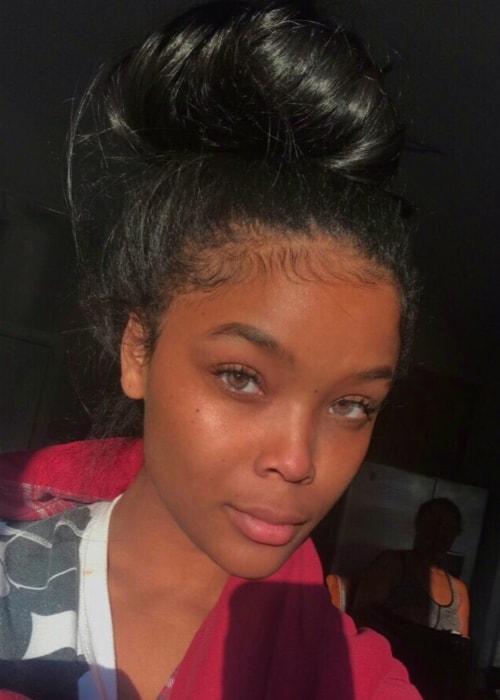 Ajiona Alexus in a no-makeup selfie in September 2017