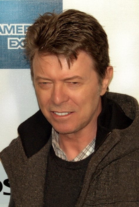 David Bowie as seen at the 2009 Tribeca Film Festival