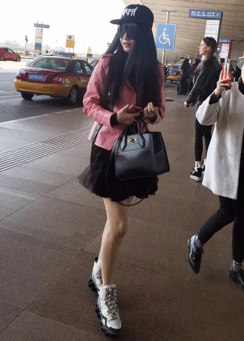 Fan Bingbing as seen in March 2016