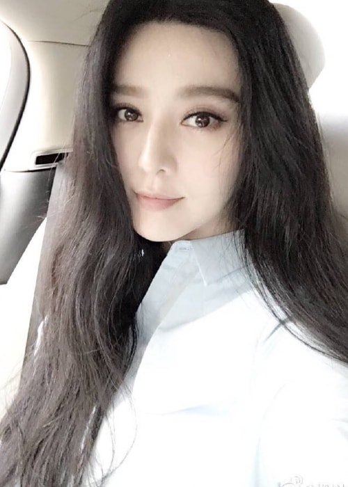 Fan Bingbing in a car selfie in April 2016